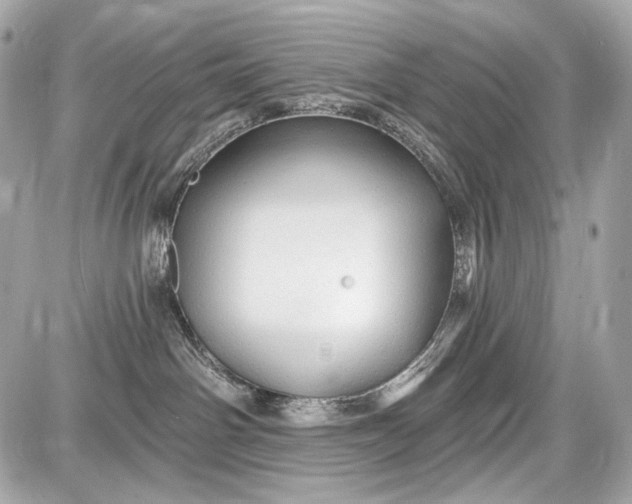 X0000087570142200705112222