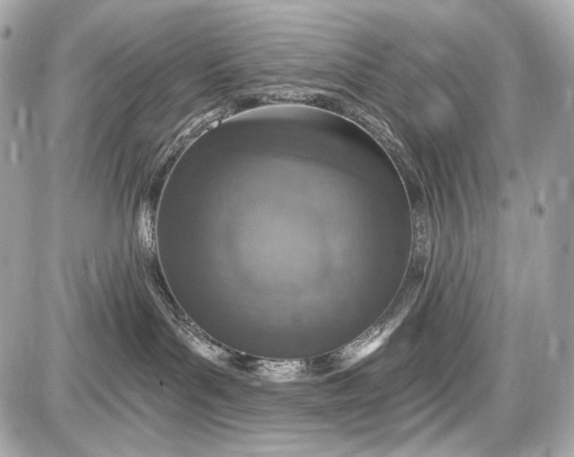 X0000087570143200705112222