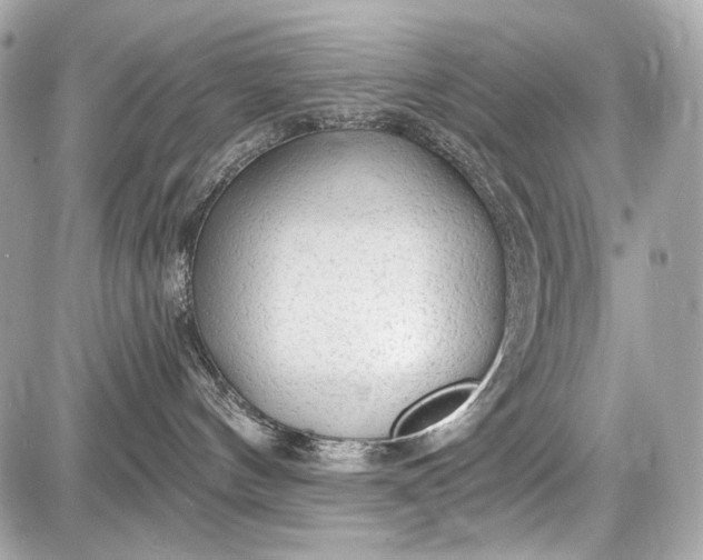 X0000087570144200705112222