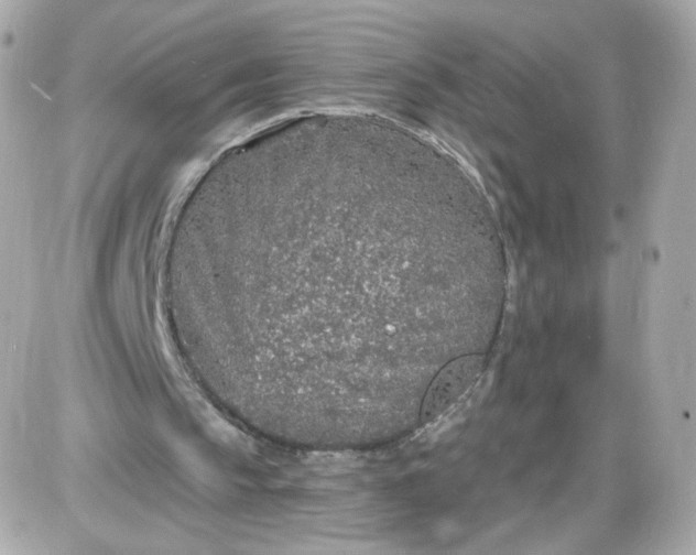 X0000087570145200705112221