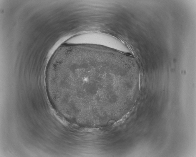 X0000087570147200705112221