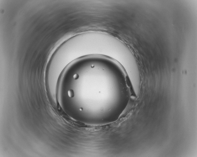 X0000087570148200705112221