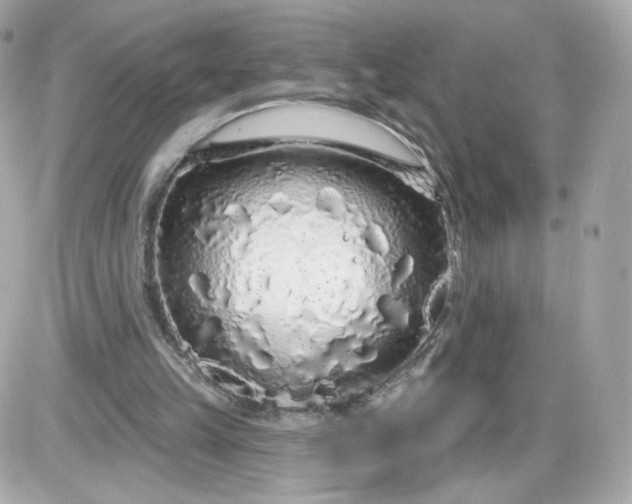 X0000087570149200705112221