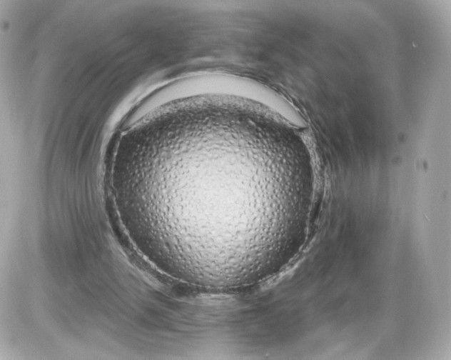 X0000087570150200705112221