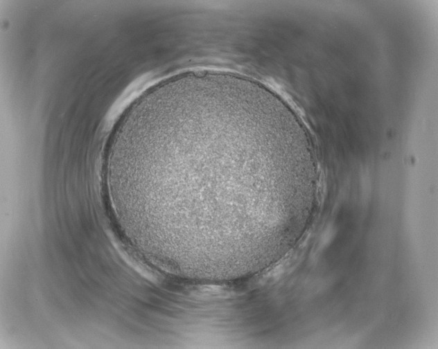 X0000087570151200705112221