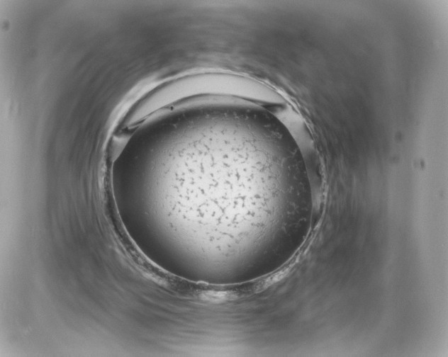 X0000087570152200705112221