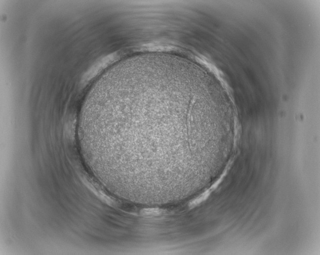 X0000087570153200705112221