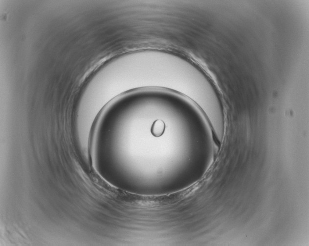 X0000087570154200705112221