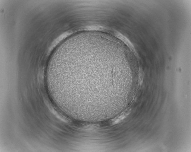 X0000087570155200705112221