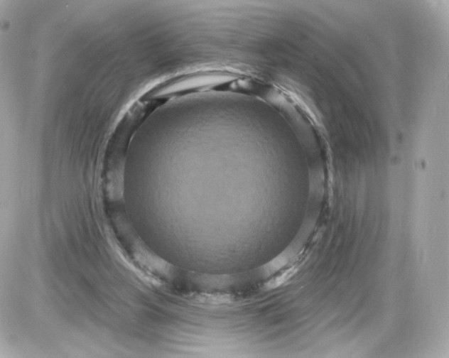 X0000087570156200705112221