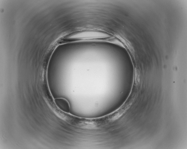 X0000087570157200705112221