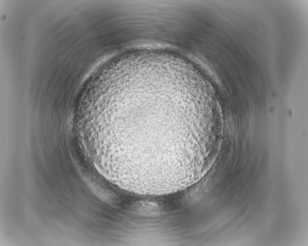 X0000087570159200705112221