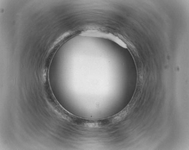 X0000087570160200705112221