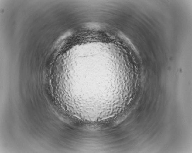 X0000087570161200705112221