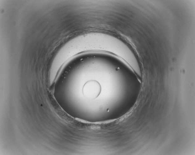 X0000087570162200705112221