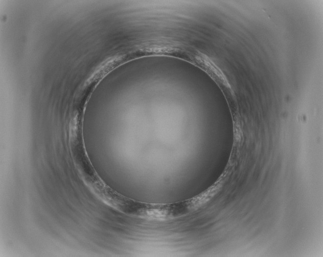 X0000087570163200705112221