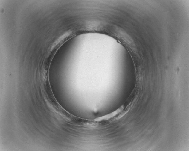 X0000087570164200705112221