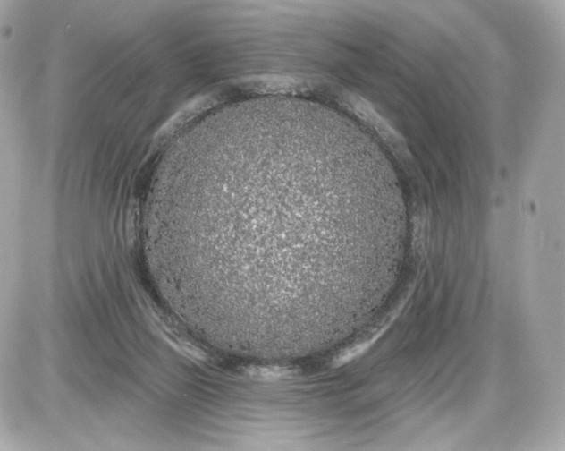 X0000087570165200705112221