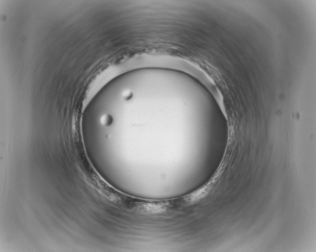 X0000087570166200705112221