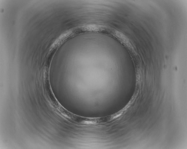 X0000087570167200705112221