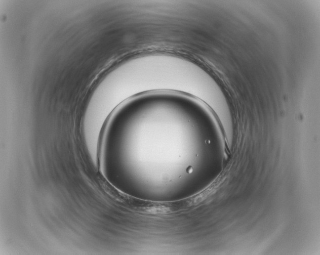 X0000087570168200705112221