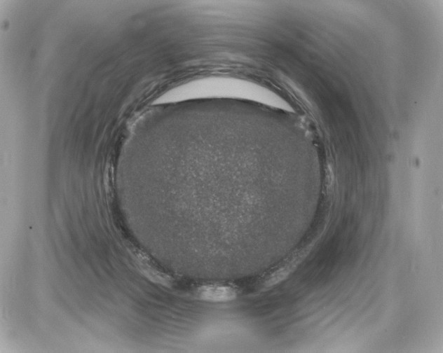 X0000087570169200705112221