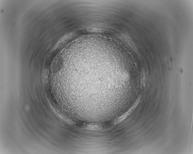 X0000087570171200705112221