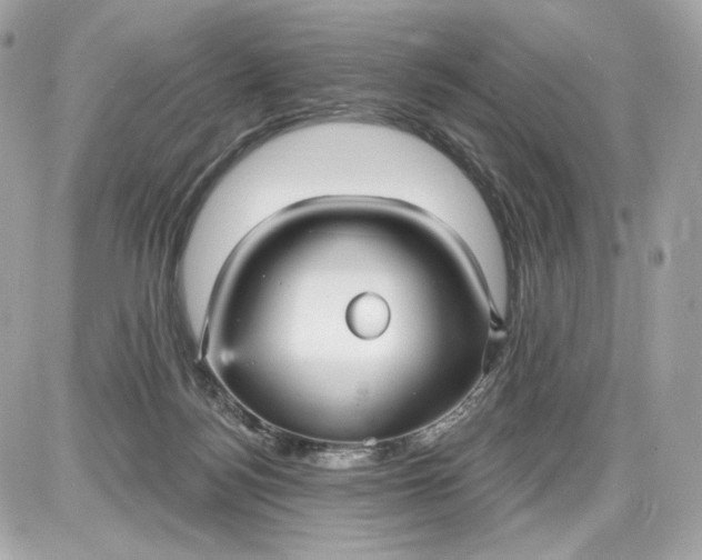 X0000087570172200705112221