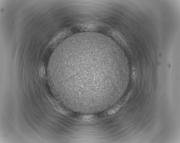 X0000087570173200705112221