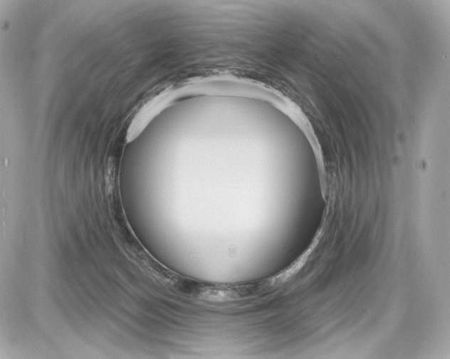 X0000087570174200705112221