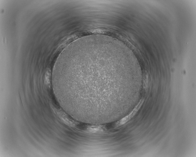 X0000087570175200705112221