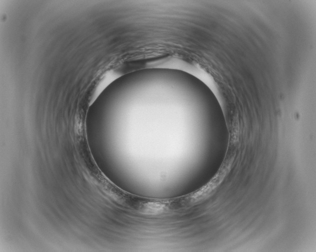 X0000087570176200705112221