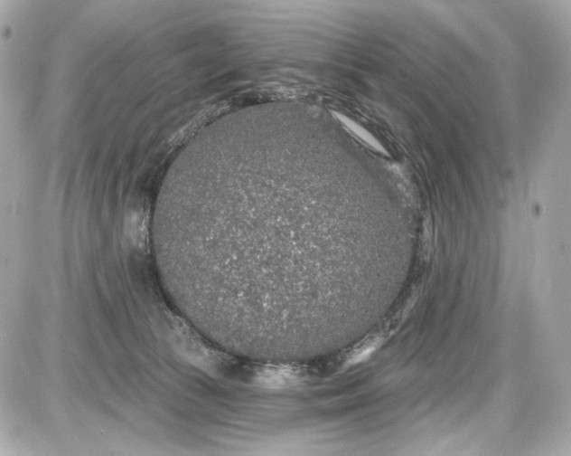 X0000087570177200705112221