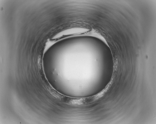 X0000087570178200705112221