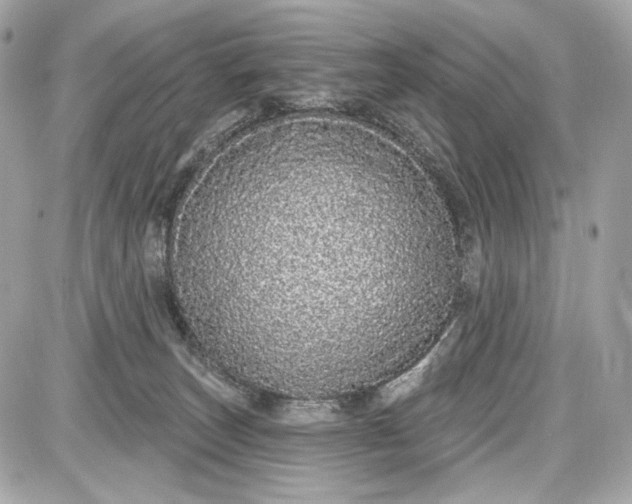 X0000087570179200705112221