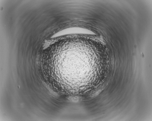 X0000087570181200705112222