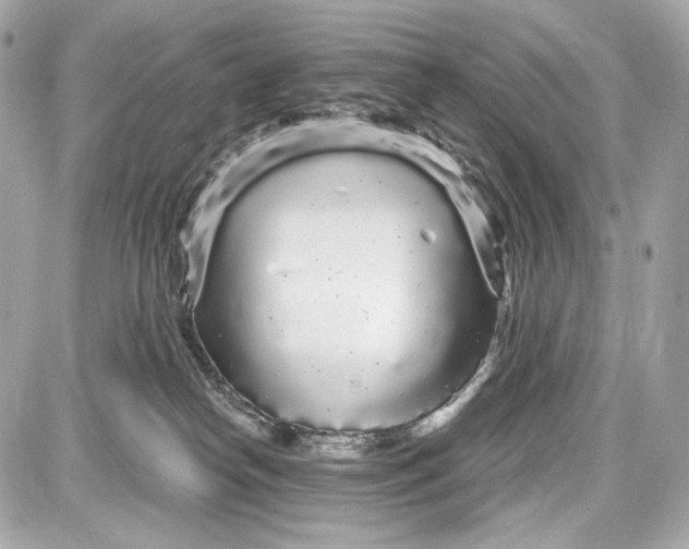 X0000087570182200705112222