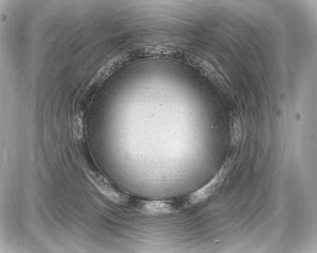 X0000087570183200705112222