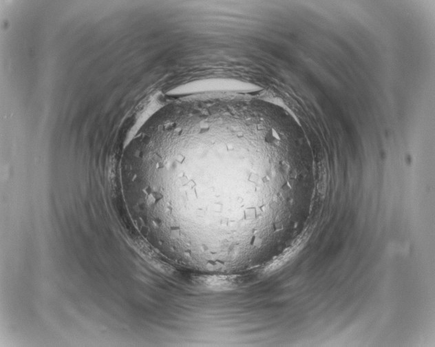 X0000087570184200705112222