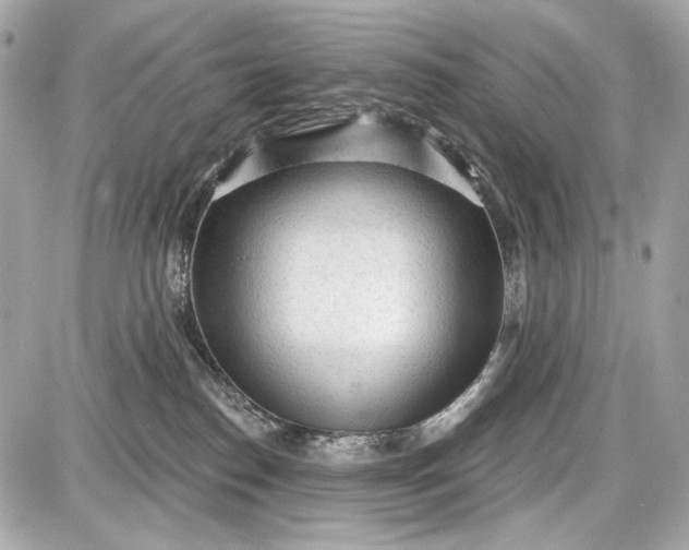 X0000087570186200705112222