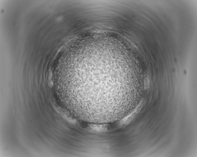 X0000087570187200705112222