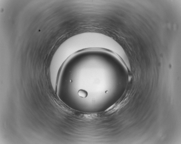 X0000087570188200705112222