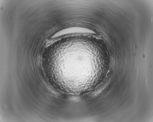 X0000087570189200705112222