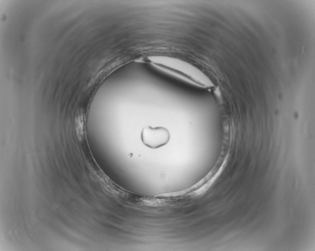 X0000087570190200705112222