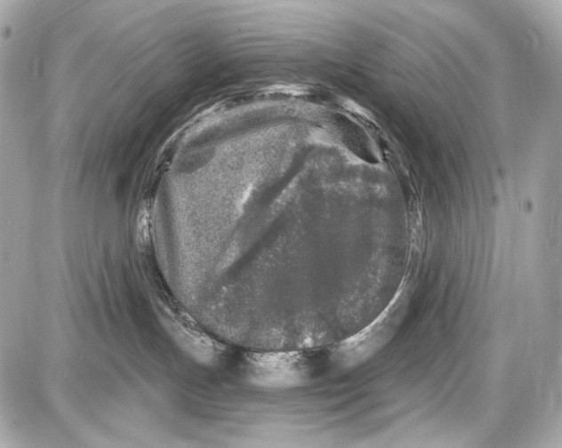 X0000087570191200705112222