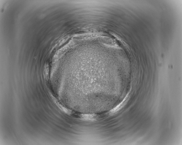 X0000087570192200705112222