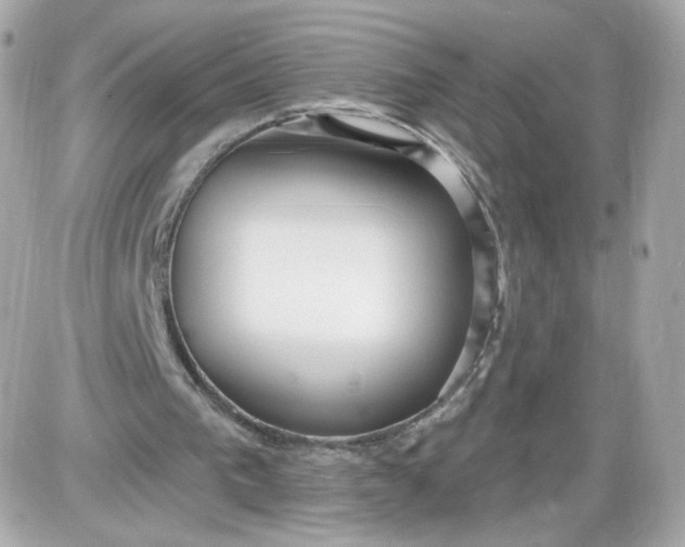 X0000087570193200705112221