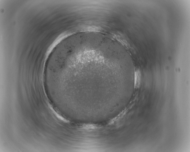 X0000087570195200705112221