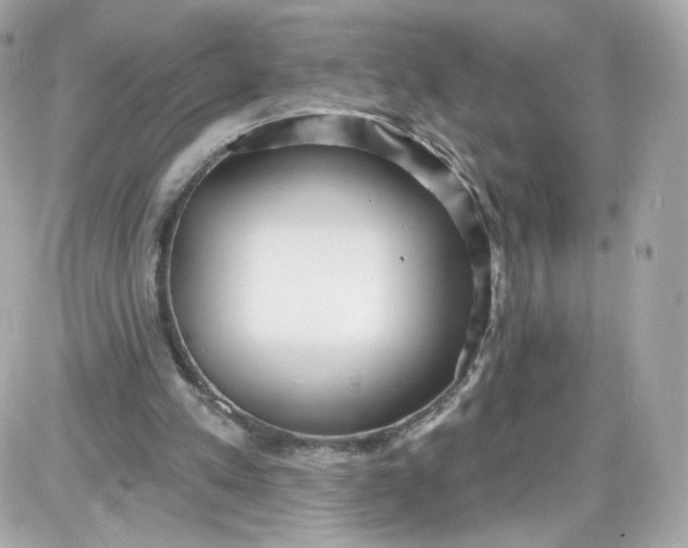 X0000087570197200705112221