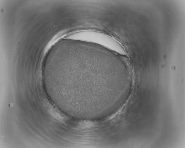 X0000087570198200705112221